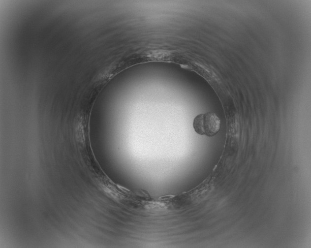 X0000072930572200608041219