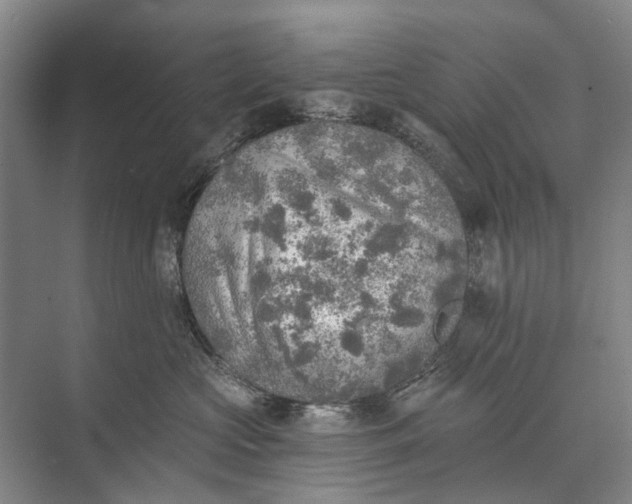 X0000072930573200608041219