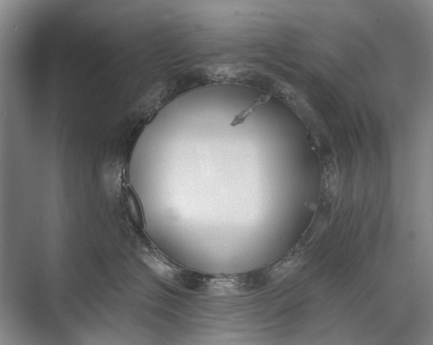 X0000072930574200608041219