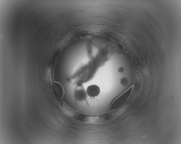 X0000072930575200608041219