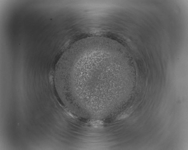 X0000072930576200608041219