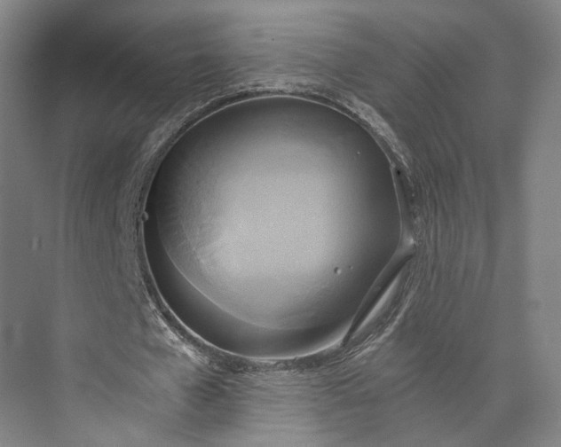 X0000072930577200608041218