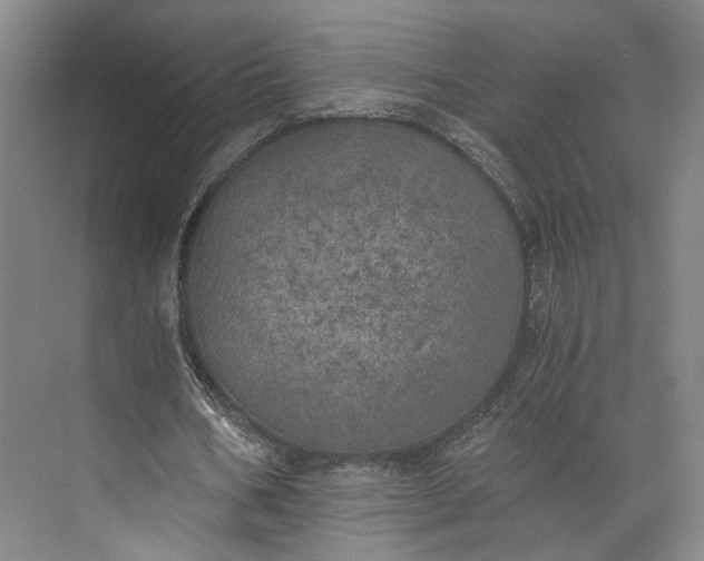 X0000072930578200608041218