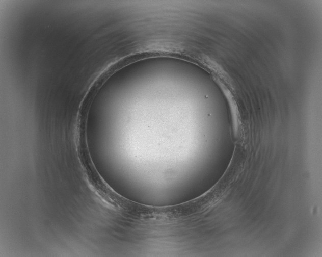 X0000072930580200608041218