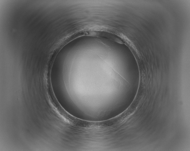 X0000072930581200608041218