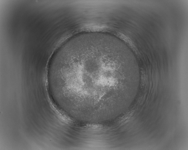 X0000072930582200608041218