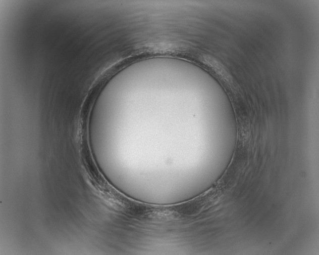 X0000072930583200608041218