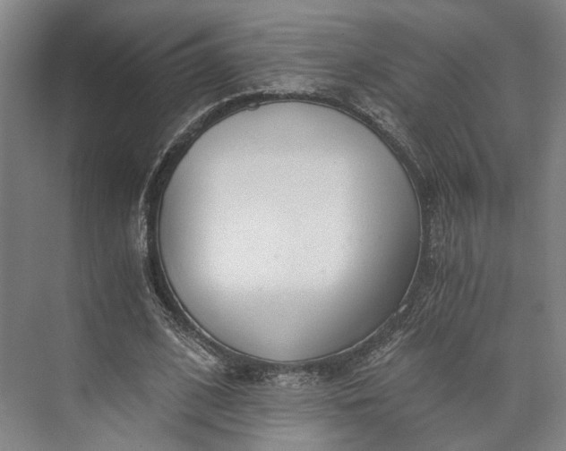 X0000072930584200608041218