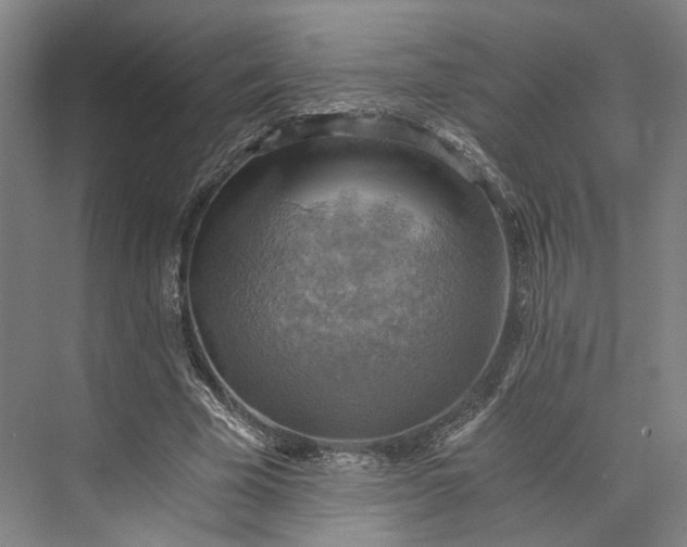 X0000072930585200608041218