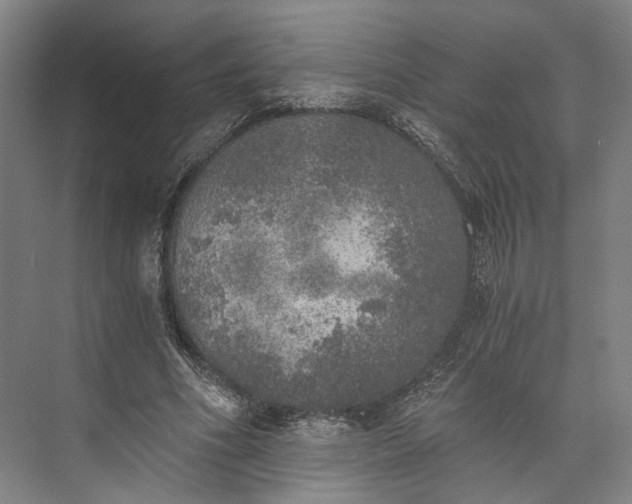 X0000072930586200608041218