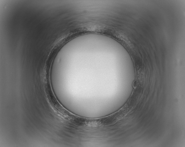 X0000072930587200608041218