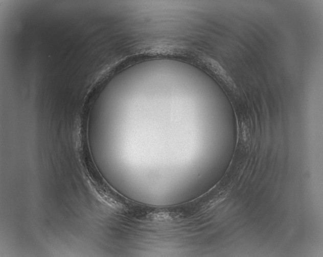 X0000072930588200608041218