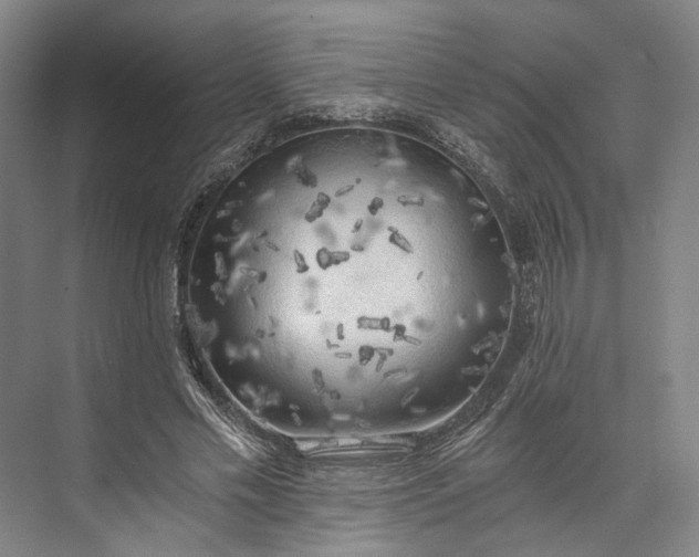 X0000072930589200608041218