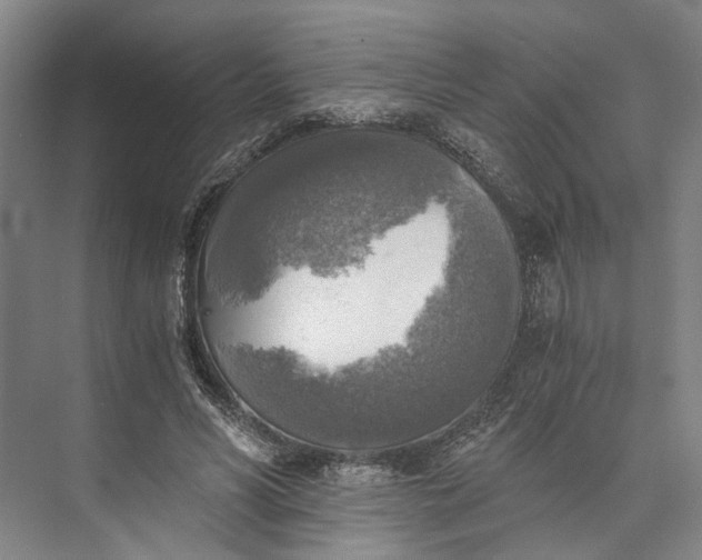 X0000072930590200608041218