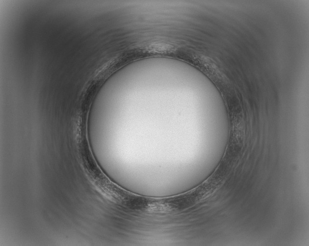 X0000072930591200608041218