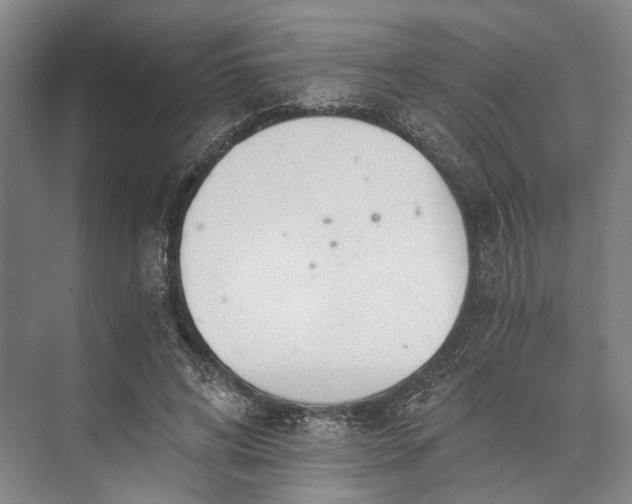 X0000072930592200608041218