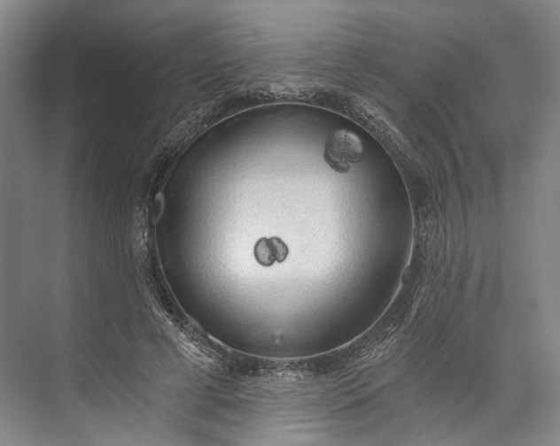 X0000072930593200608041218