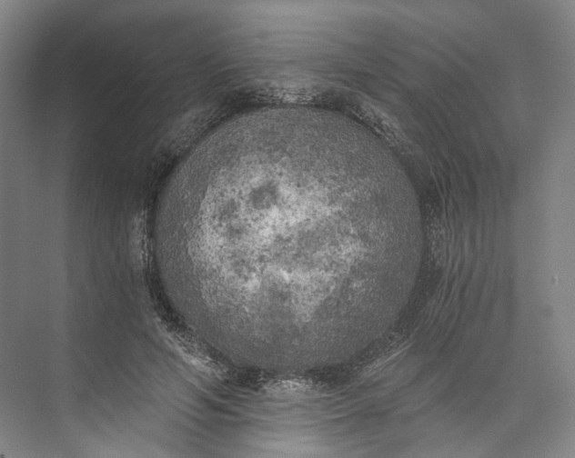 X0000072930594200608041218