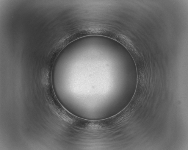 X0000072930596200608041218