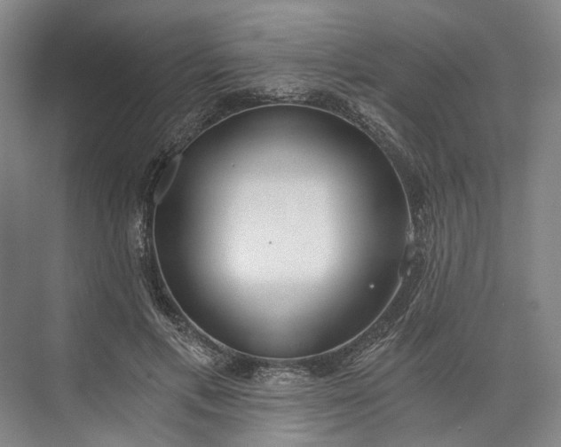 X0000072930597200608041218