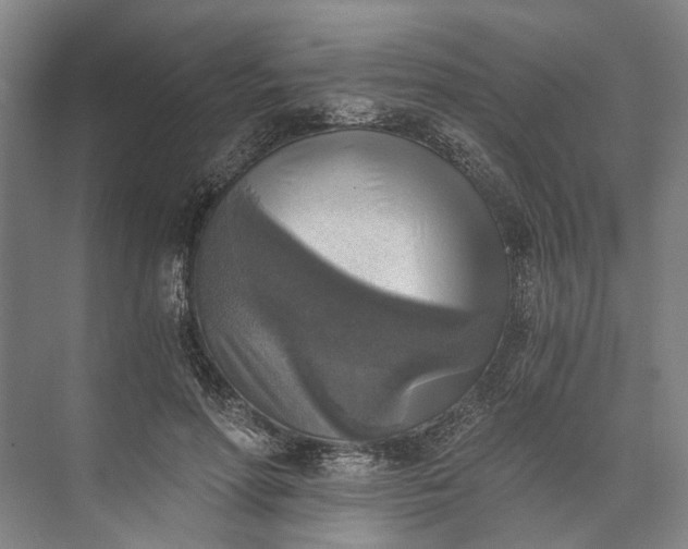 X0000072930598200608041218