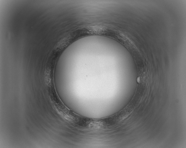 X0000072930599200608041218