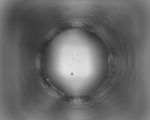 X0000072930600200608041218