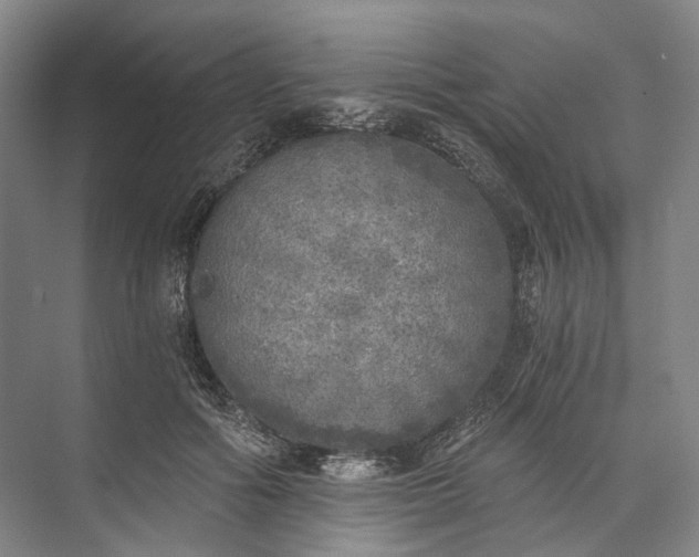 X0000072930602200608041218