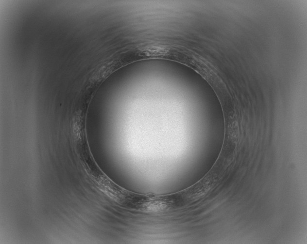 X0000072930604200608041218