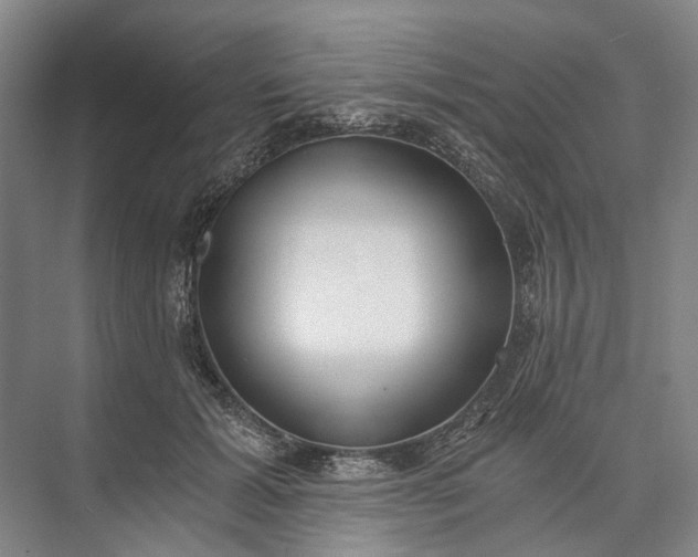 X0000072930605200608041218