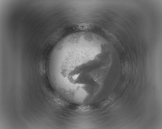 X0000072930606200608041218