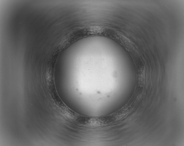 X0000072930608200608041218