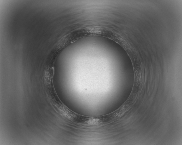 X0000072930609200608041218