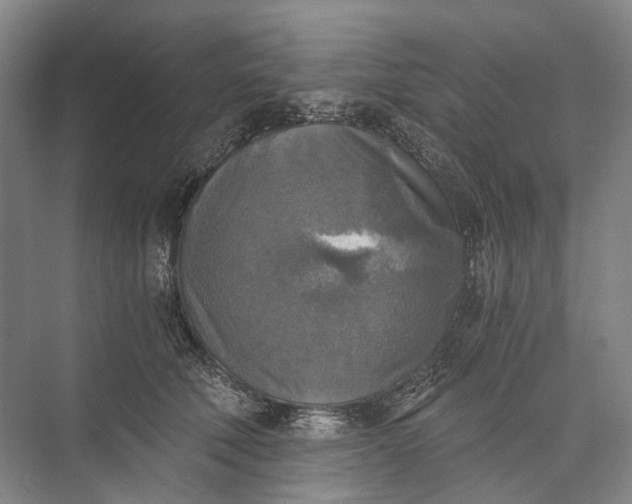 X0000072930610200608041218