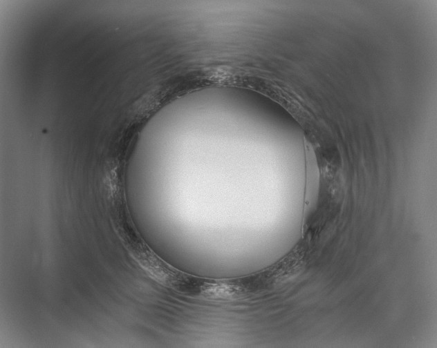 X0000072930611200608041218