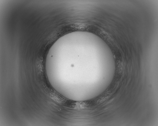 X0000072930612200608041218