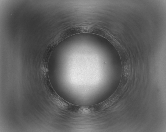 X0000072930613200608041218