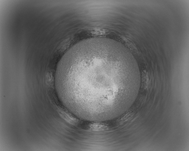 X0000072930614200608041218