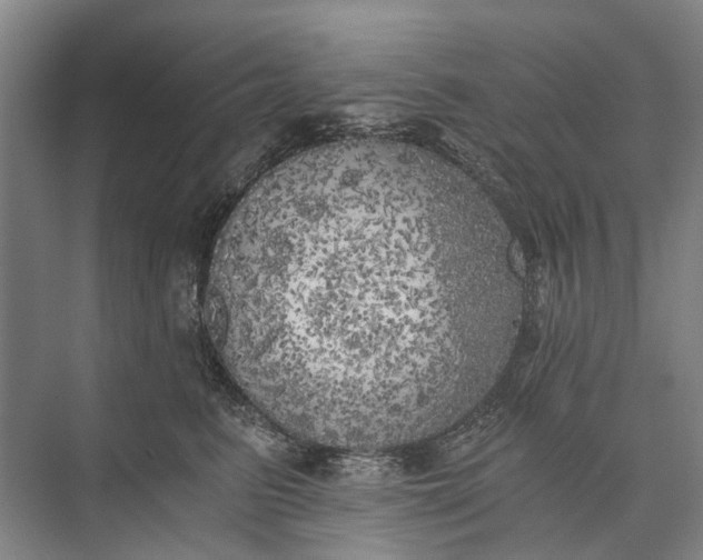 X0000072930615200608041218