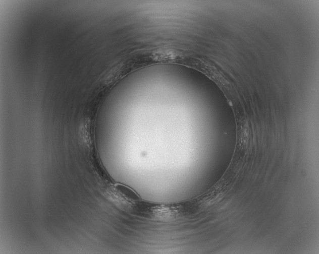 X0000072930616200608041218