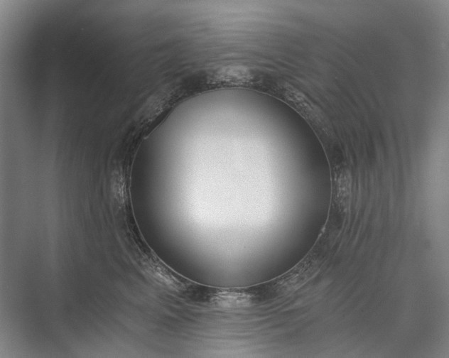 X0000072930617200608041218