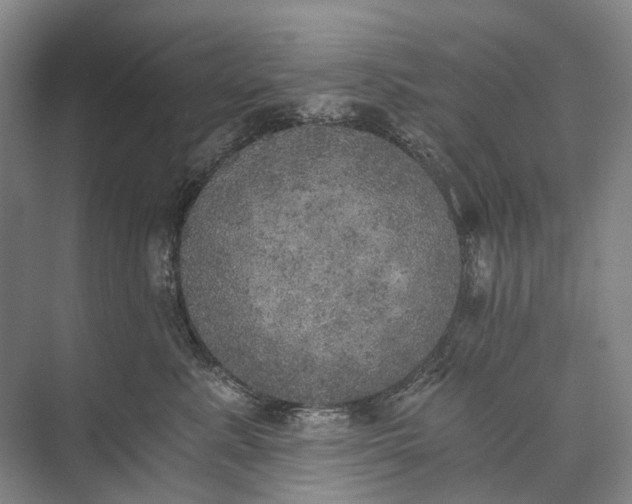 X0000072930619200608041218