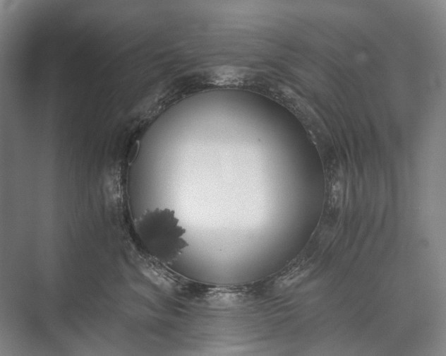 X0000072930620200608041218