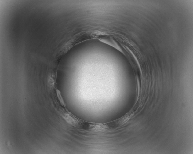 X0000072930621200608041217