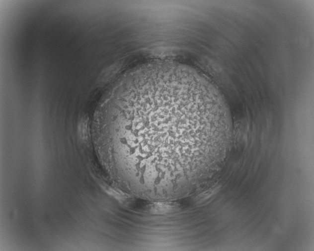 X0000072930623200608041217