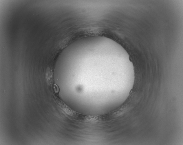 X0000072930624200608041217