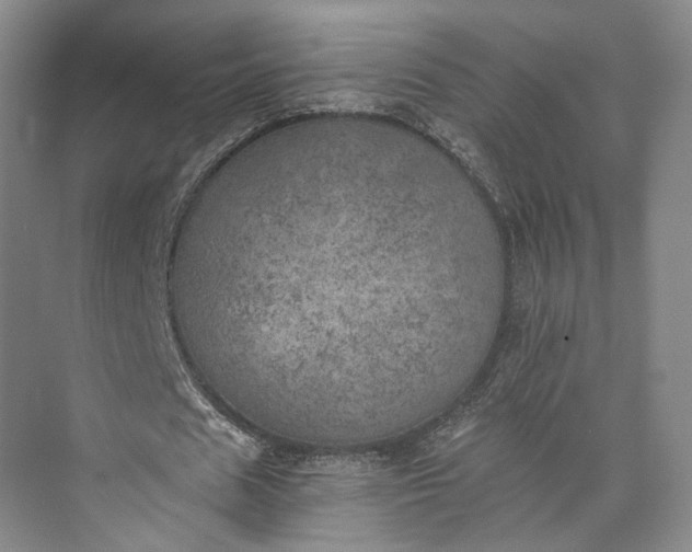 X0000072930625200608041217