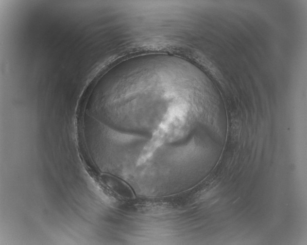 X0000072930626200608041217