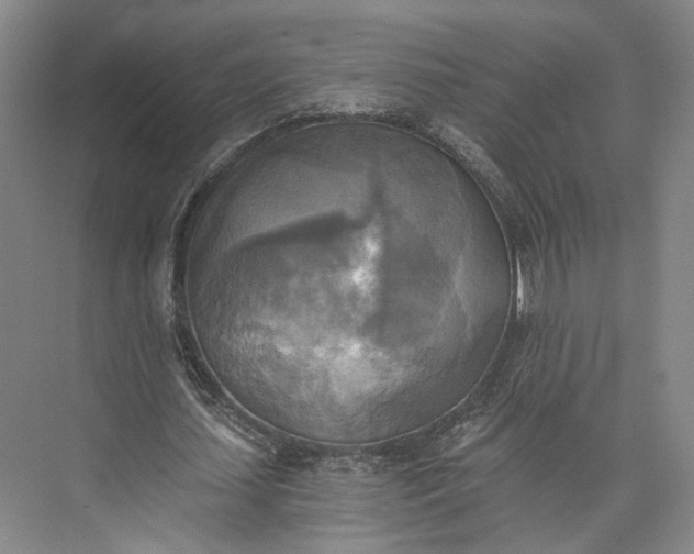 X0000072930627200608041217