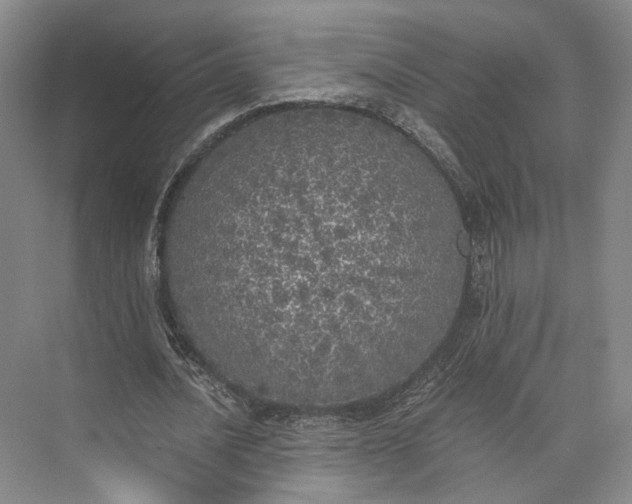 X0000072930628200608041217